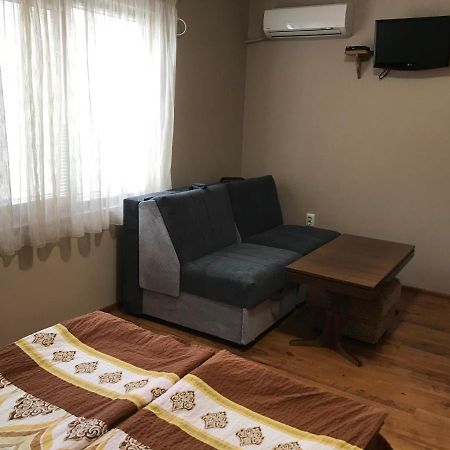 Guesthouse Elena ベログラドチク エクステリア 写真
