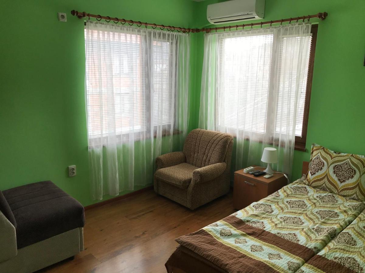 Guesthouse Elena ベログラドチク エクステリア 写真