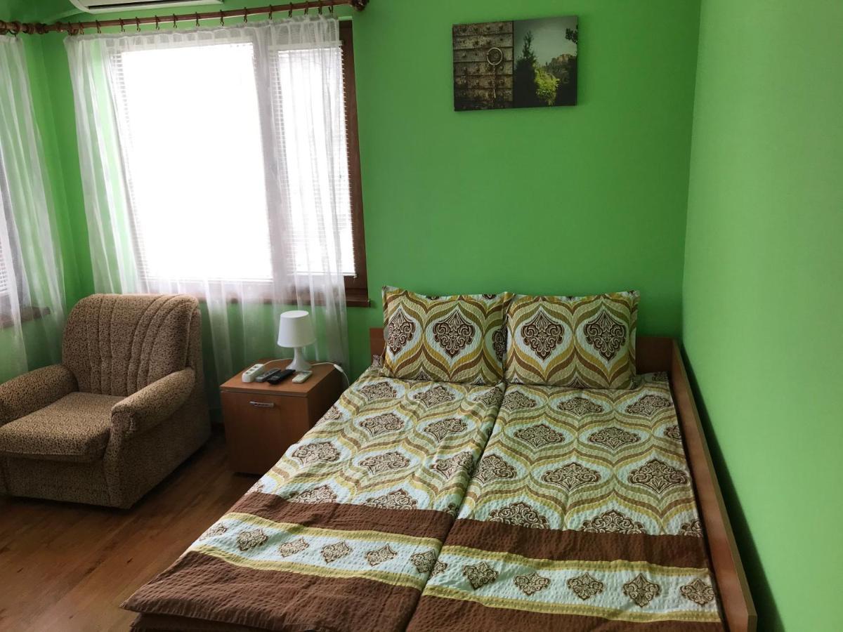 Guesthouse Elena ベログラドチク エクステリア 写真